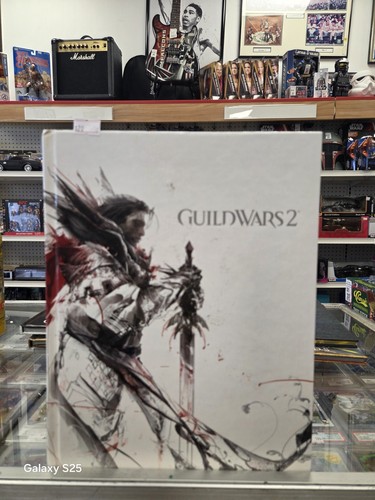 Guild wars official strategy - guild,